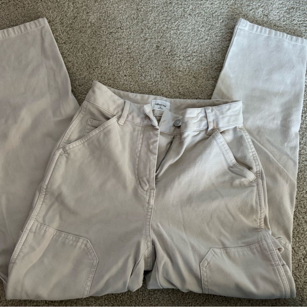 Aritzia wilfred Brennan cargo pants